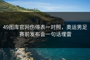 49图库官网伤停表一对照，奥运男足赛前发布会一句话埋雷