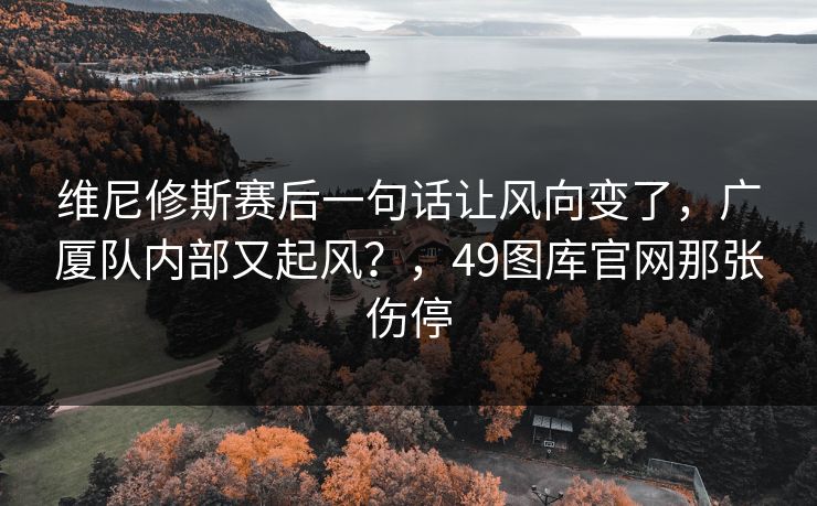 维尼修斯赛后一句话让风向变了，广厦队内部又起风？，49图库官网那张伤停