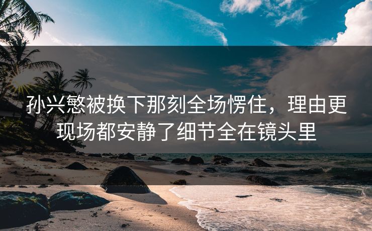 孙兴慜被换下那刻全场愣住,理由更现场都安静了细节全在镜头里 孙兴慜被换下那刻全场愣住,理由更现场都安静了细节全在镜头里