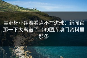 美洲杯小组赛看点不在进球：新闻官那一下太离谱了（49图库澳门资料里那条