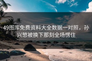 49图库免费资料大全数据一对照，孙兴慜被换下那刻全场愣住
