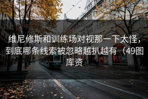 维尼修斯和训练场对视那一下太怪，到底哪条线索被忽略越扒越有（49图库资