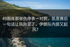 49图库那张伤停表一对照，凯恩赛后一句话让风向变了，伊朗队内部又起风？
