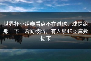 世界杯小组赛看点不在进球：球探组那一下一瞬间破防，有人拿49图库数据来